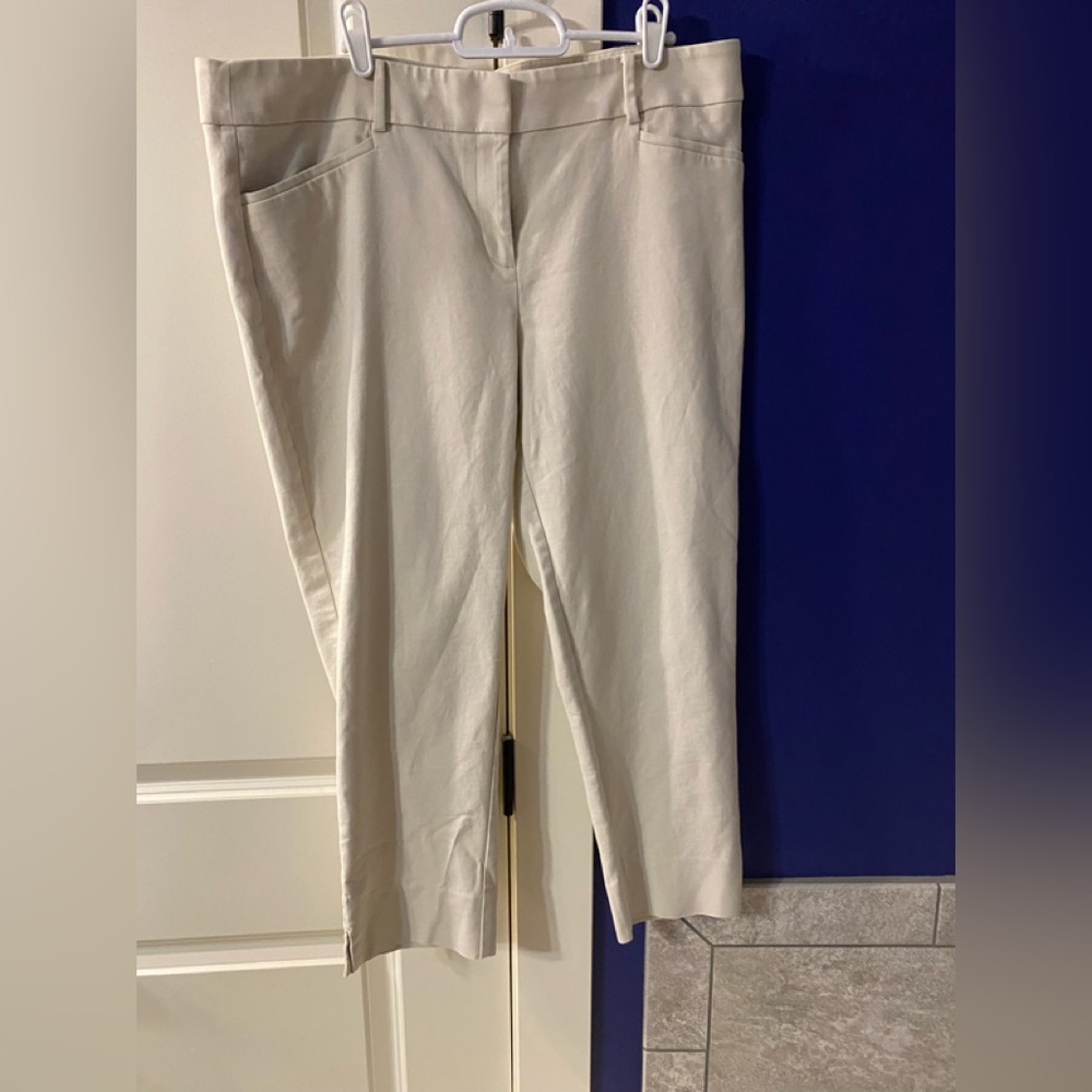 Loft pants